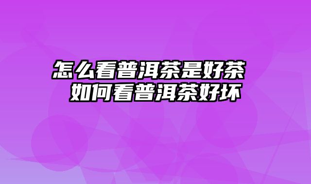 怎么看普洱茶是好茶 如何看普洱茶好坏