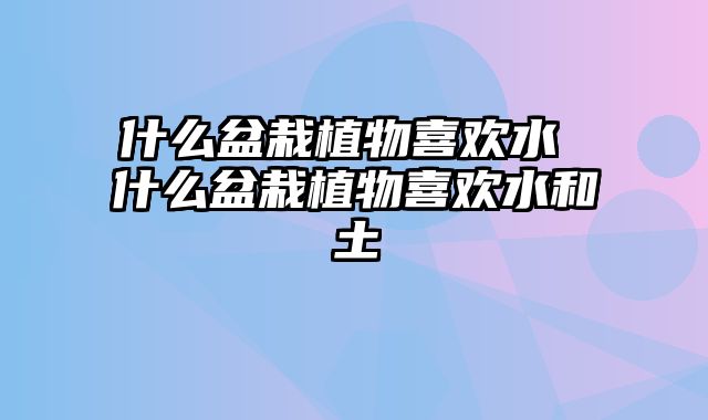 什么盆栽植物喜欢水 什么盆栽植物喜欢水和土