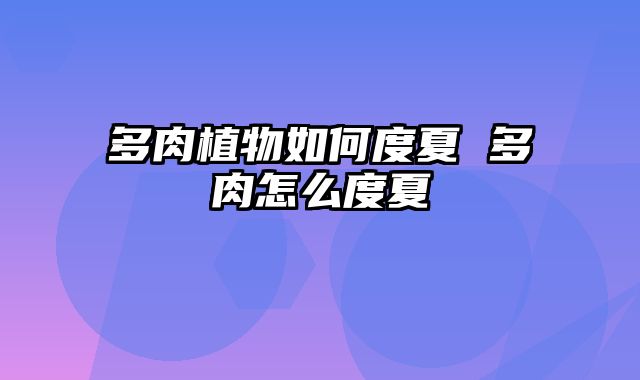 多肉植物如何度夏 多肉怎么度夏