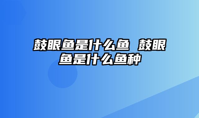 鼓眼鱼是什么鱼 鼓眼鱼是什么鱼种