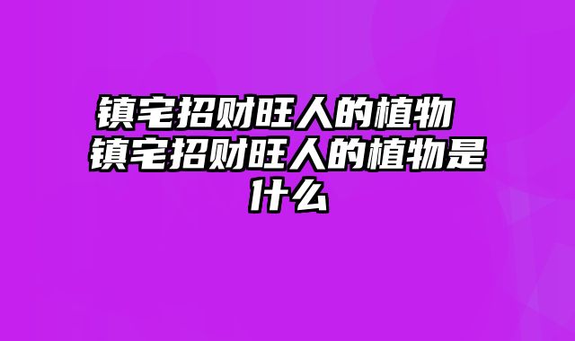 镇宅招财旺人的植物 镇宅招财旺人的植物是什么