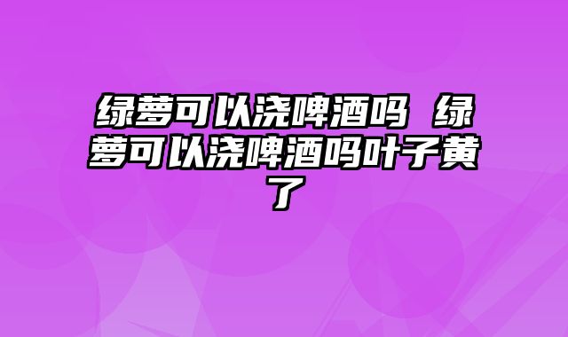 绿萝可以浇啤酒吗 绿萝可以浇啤酒吗叶子黄了