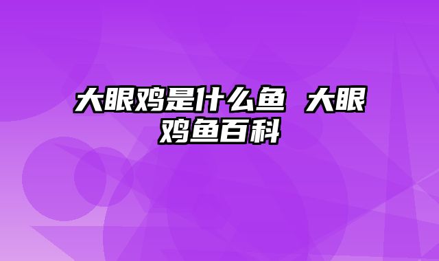 大眼鸡是什么鱼 大眼鸡鱼百科