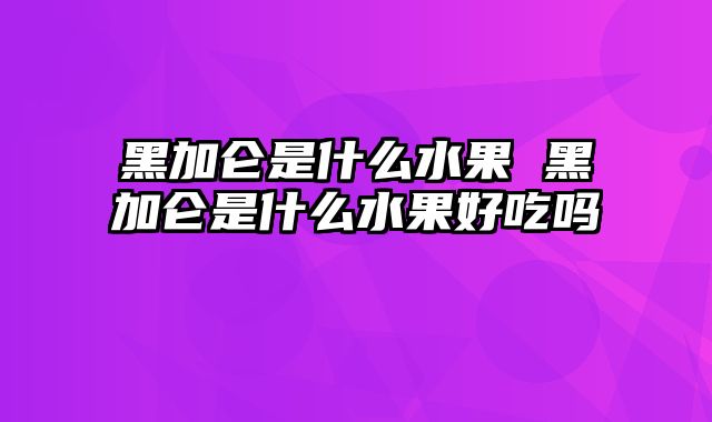 黑加仑是什么水果 黑加仑是什么水果好吃吗