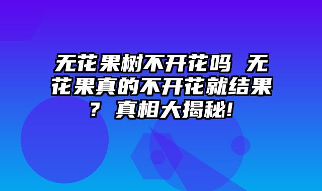 无花果树不开花吗 无花果真的不开花就结果? 真相大揭秘!