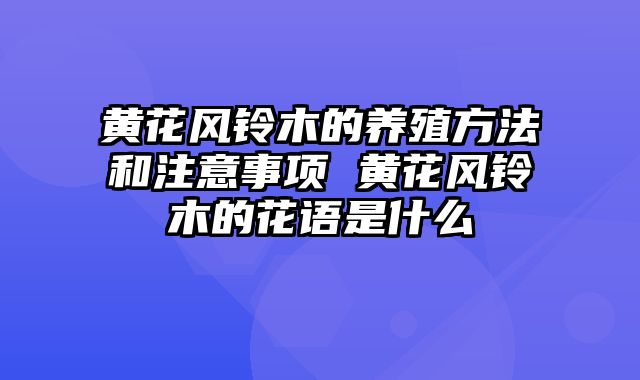 黄花风铃木的养殖方法和注意事项 黄花风铃木的花语是什么