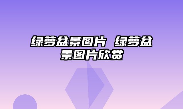 绿萝盆景图片 绿萝盆景图片欣赏