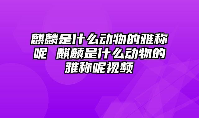 麒麟是什么动物的雅称呢 麒麟是什么动物的雅称呢视频