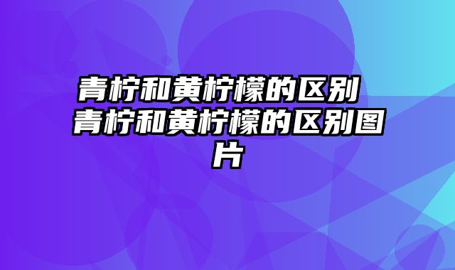 青柠和黄柠檬的区别 青柠和黄柠檬的区别图片