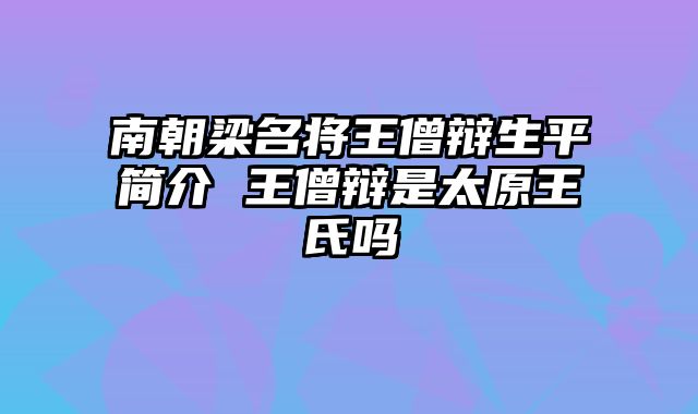 南朝梁名将王僧辩生平简介 王僧辩是太原王氏吗