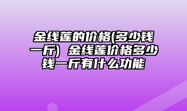 金线莲的价格(多少钱一斤) 金线莲价格多少钱一斤有什么功能