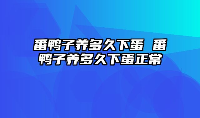 番鸭子养多久下蛋 番鸭子养多久下蛋正常