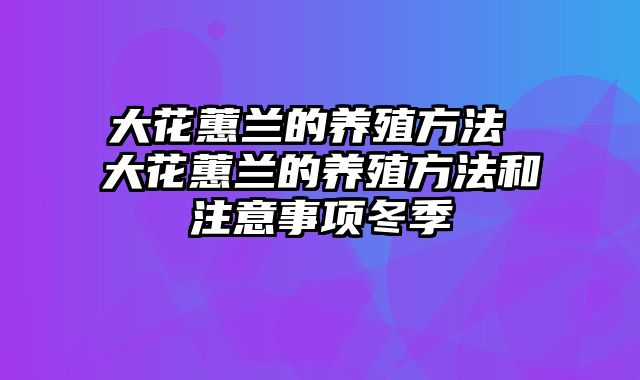 大花蕙兰的养殖方法 大花蕙兰的养殖方法和注意事项冬季