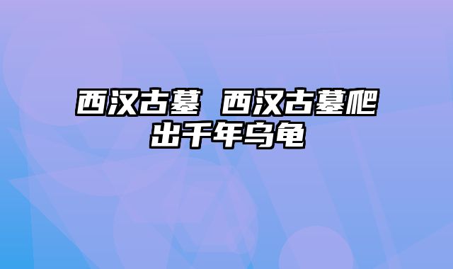 西汉古墓 西汉古墓爬出千年乌龟