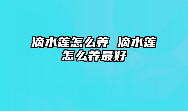 滴水莲怎么养 滴水莲怎么养最好