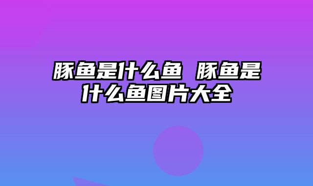 豚鱼是什么鱼 豚鱼是什么鱼图片大全