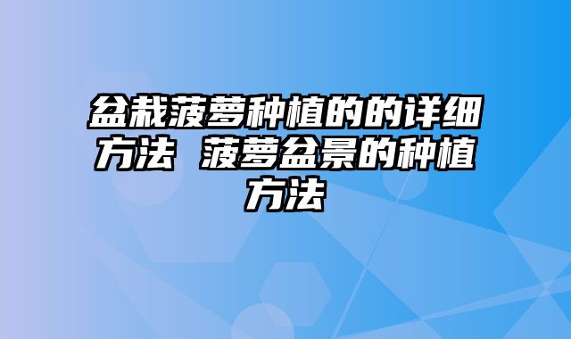 盆栽菠萝种植的的详细方法 菠萝盆景的种植方法