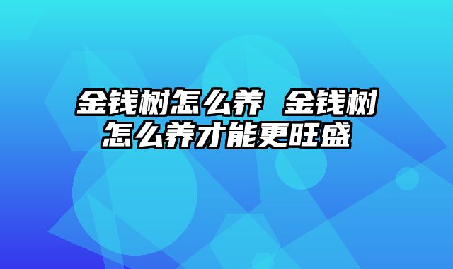 金钱树怎么养 金钱树怎么养才能更旺盛