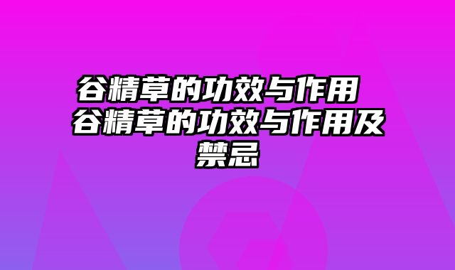 谷精草的功效与作用 谷精草的功效与作用及禁忌