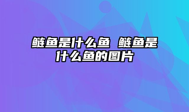 鲢鱼是什么鱼 鲢鱼是什么鱼的图片