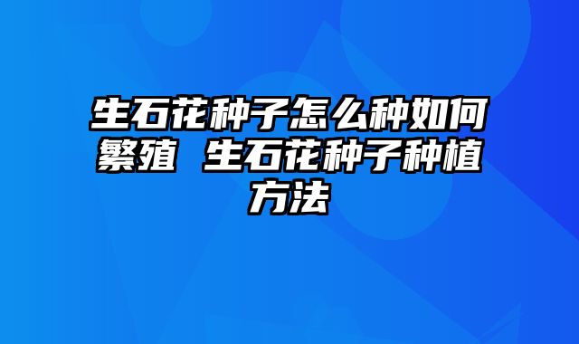 生石花种子怎么种如何繁殖 生石花种子种植方法