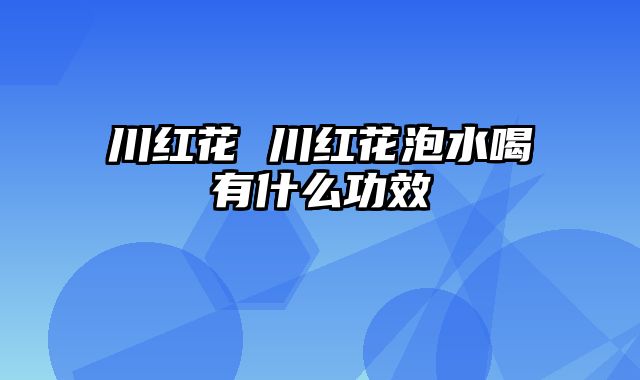 川红花 川红花泡水喝有什么功效