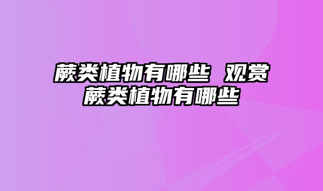 蕨类植物有哪些 观赏蕨类植物有哪些