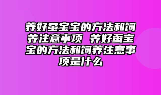 养好蚕宝宝的方法和饲养注意事项 养好蚕宝宝的方法和饲养注意事项是什么