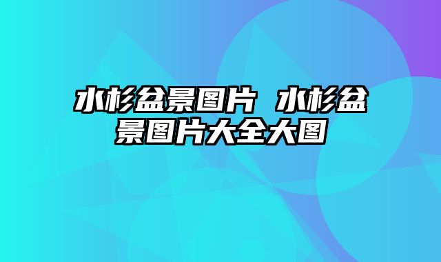 水杉盆景图片 水杉盆景图片大全大图