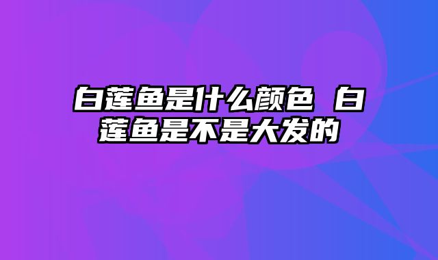 白莲鱼是什么颜色 白莲鱼是不是大发的