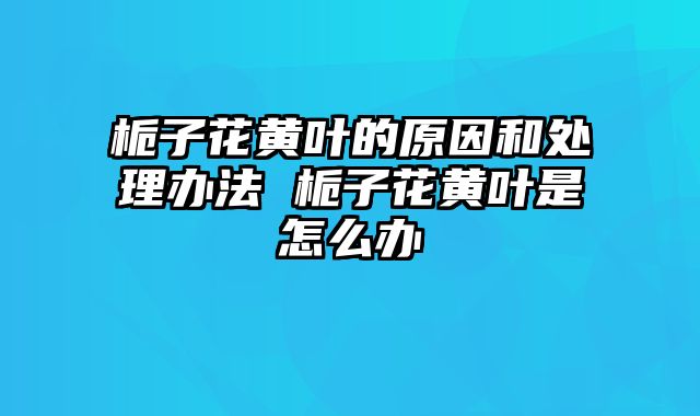 栀子花黄叶的原因和处理办法 栀子花黄叶是怎么办