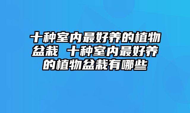 十种室内最好养的植物盆栽 十种室内最好养的植物盆栽有哪些