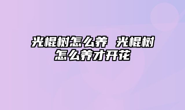 光棍树怎么养 光棍树怎么养才开花