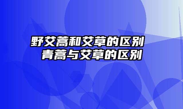 野艾蒿和艾草的区别 青蒿与艾草的区别