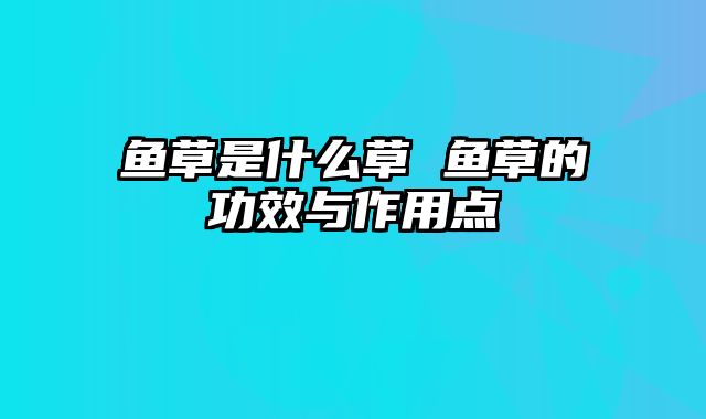 鱼草是什么草 鱼草的功效与作用点