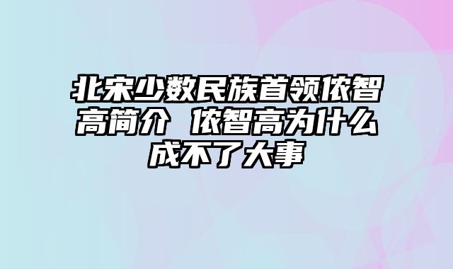 北宋少数民族首领侬智高简介 侬智高为什么成不了大事