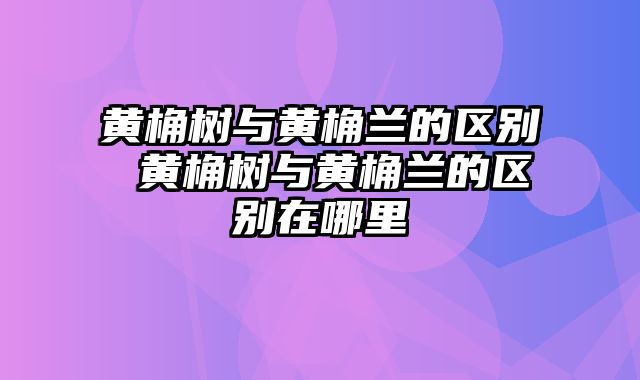 黄桷树与黄桷兰的区别 黄桷树与黄桷兰的区别在哪里