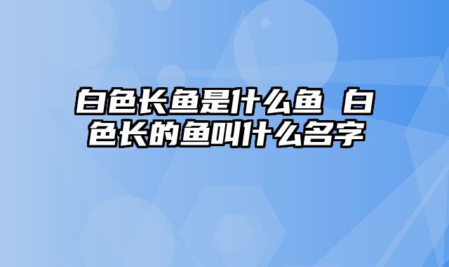 白色长鱼是什么鱼 白色长的鱼叫什么名字