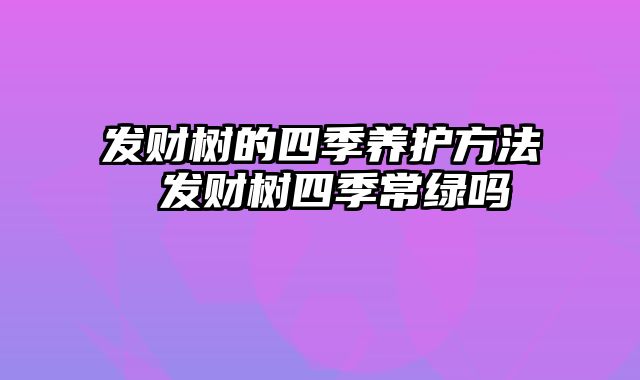 发财树的四季养护方法 发财树四季常绿吗