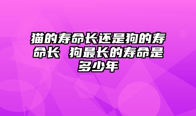 猫的寿命长还是狗的寿命长 狗最长的寿命是多少年