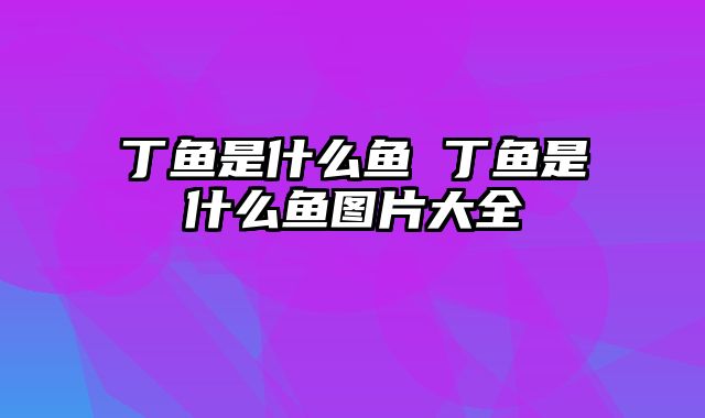 丁鱼是什么鱼 丁鱼是什么鱼图片大全