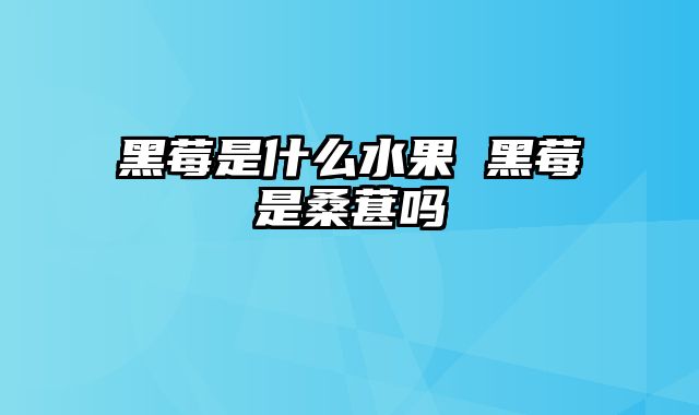 黑莓是什么水果 黑莓是桑葚吗