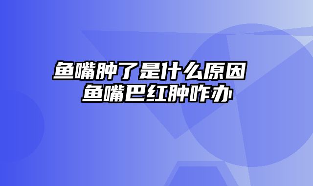 鱼嘴肿了是什么原因 鱼嘴巴红肿咋办