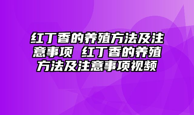 红丁香的养殖方法及注意事项 红丁香的养殖方法及注意事项视频