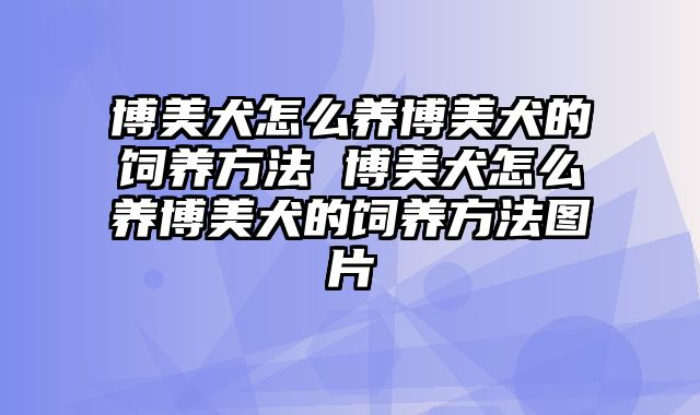 博美犬怎么养博美犬的饲养方法 博美犬怎么养博美犬的饲养方法图片