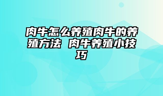 肉牛怎么养殖肉牛的养殖方法 肉牛养殖小技巧