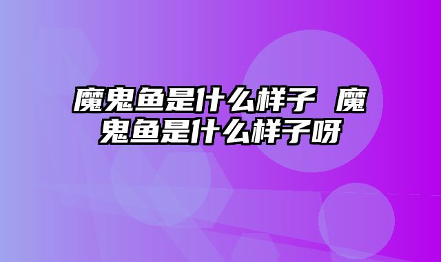 魔鬼鱼是什么样子 魔鬼鱼是什么样子呀