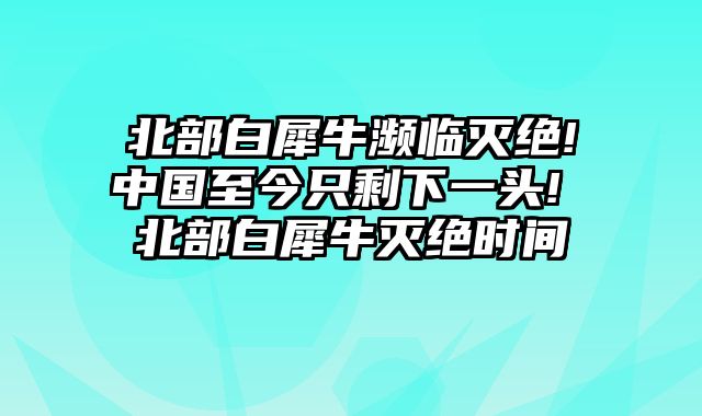 北部白犀牛濒临灭绝!中国至今只剩下一头! 北部白犀牛灭绝时间