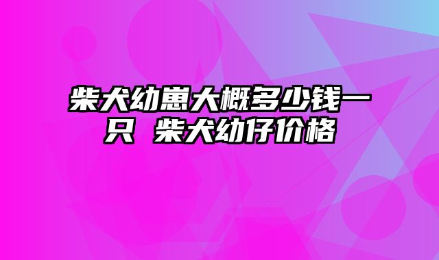 柴犬幼崽大概多少钱一只 柴犬幼仔价格