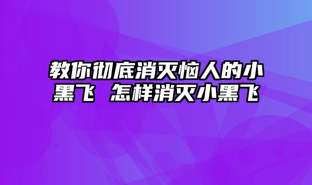 教你彻底消灭恼人的小黑飞 怎样消灭小黑飞